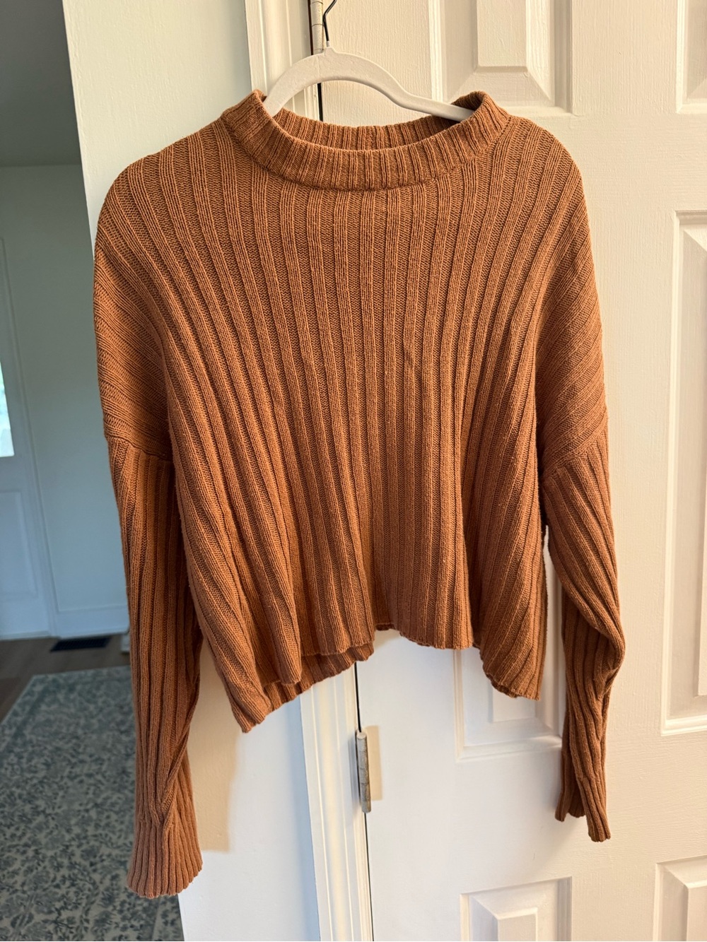 American Eagle Outfitters Cropped Ribbed Sweater in Rusty Orange